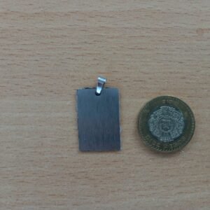 Placa (plaquita) de identificación para mascota, PERSONALIZADA, con forma de rectángulo ancho, de acero inoxidable, color plateada